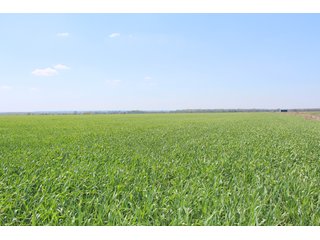 Property photo 26 - OKLAHOMA LAND AUCTION, 550+/- Acres offered in 7 Tracts